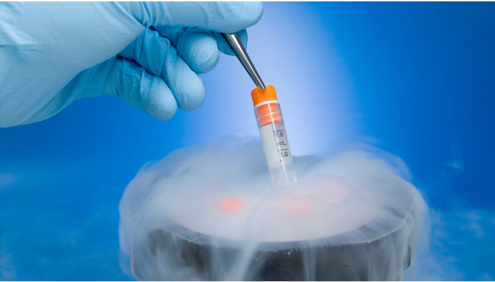 Préservation de la fertilité : congélation d’ovules
